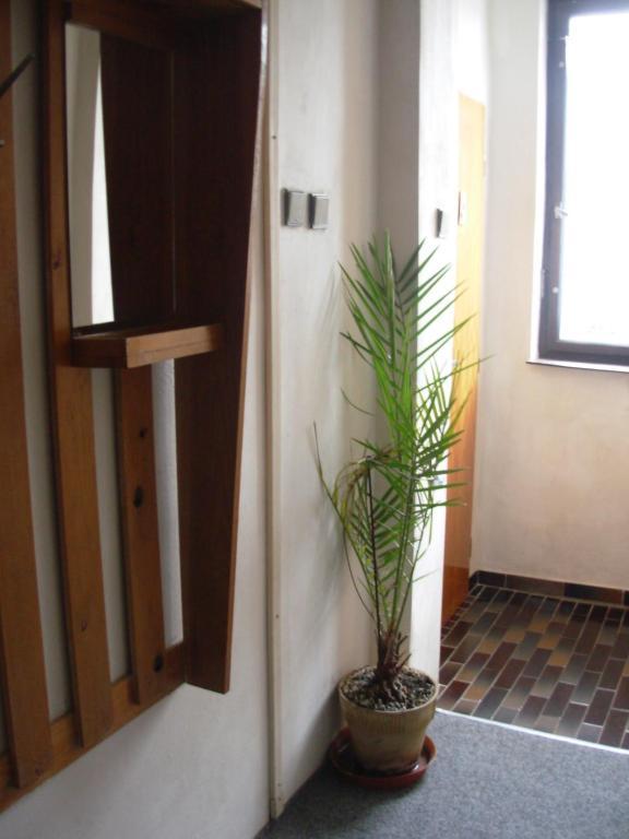 Penzion Hlinkova Pilsen Room photo