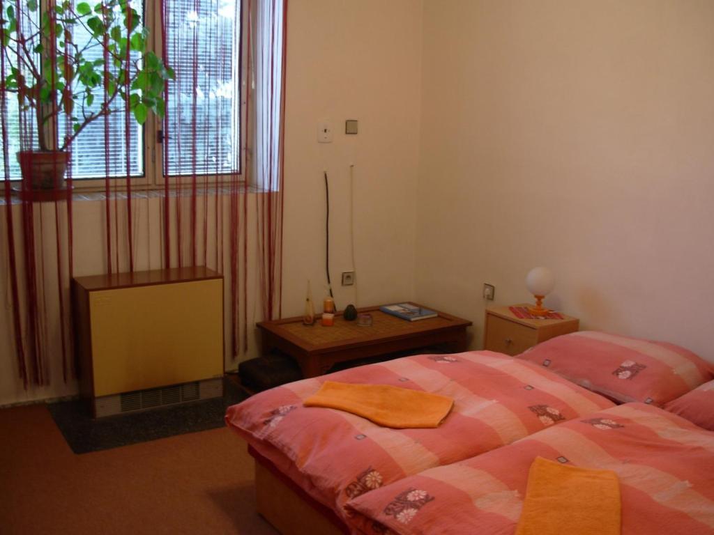 Penzion Hlinkova Pilsen Room photo
